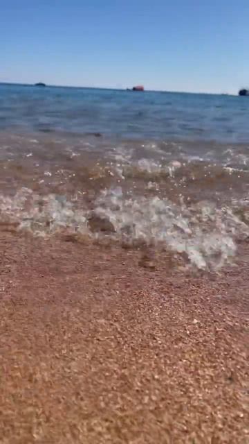 Red Sea, Sharm El Sheikh. 01.2023