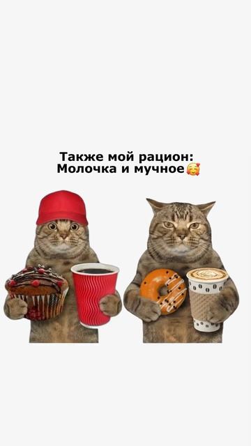 Подробнее о том почему нет сил смотрите в актуальном ГОРМОНЫ.