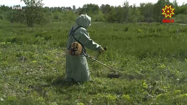 В Чувашии создадут «чёрный список» растений