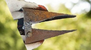 3 Отличных идеи для дома и дачи