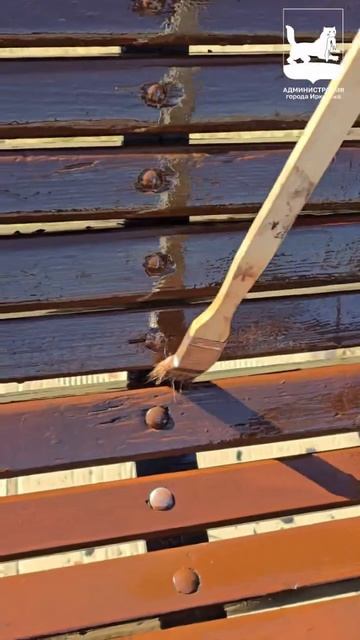 Осторожно, окрашено! #Готовим_Иркутск к лету и приводим в порядок городские скамейки.