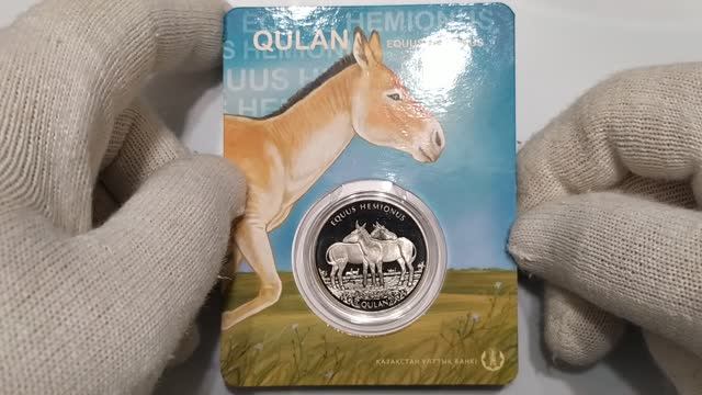 Кулан - краснокнижное животное Казахстана.