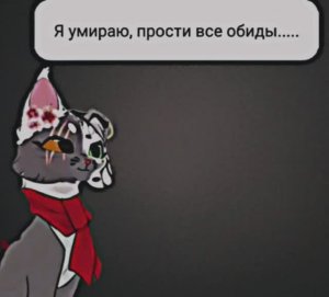 Нихера, чёт высрала