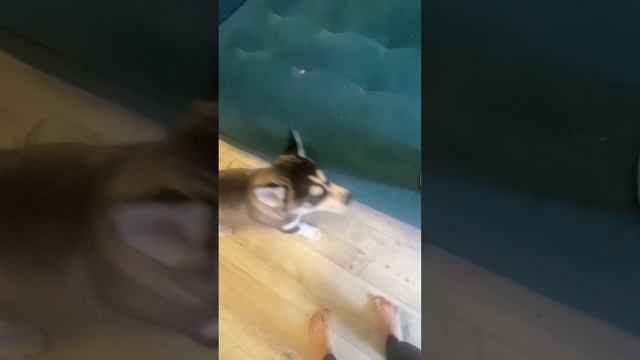 copy_945458D0-F3A0-4ED2-B249-C9E817B10E0D