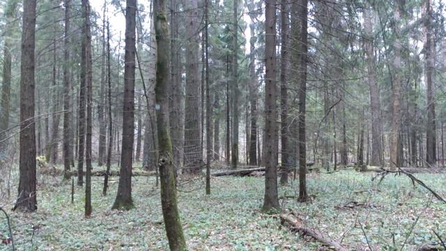 0424(1) смотреть онлайн