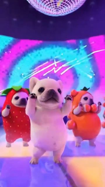 Cобаки, мопсы весело танцуют в цветном зале, в костюме клубники, банана, фруктов #мем #мемы #приколы