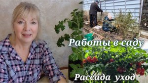 Снег и холод в апреле Как сдержать вытягивание рассады Дачные дела Печка задымила