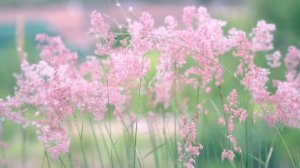 Прости его, Господь!