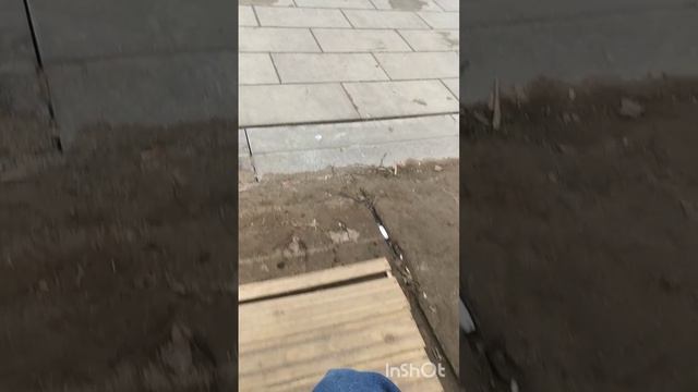 Гуляем вместе с Тёмой 20 26 год