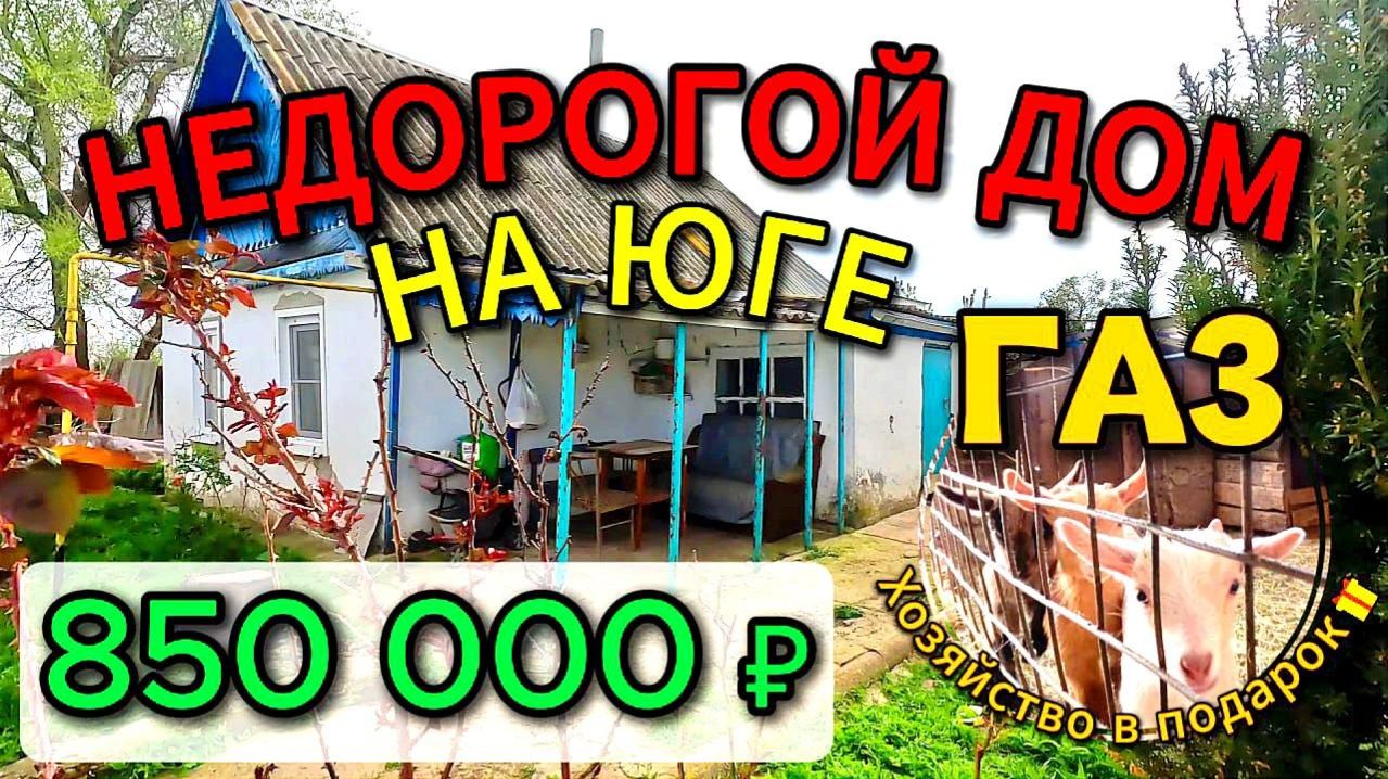 🏡 Недорогой ДОМ на ЮГЕ🌴40 м²🦯21 сотка🦯ГАЗ🦯вода 💰850 000 ₽📍 ст. Новоясенская 📞 89245404992 🌴