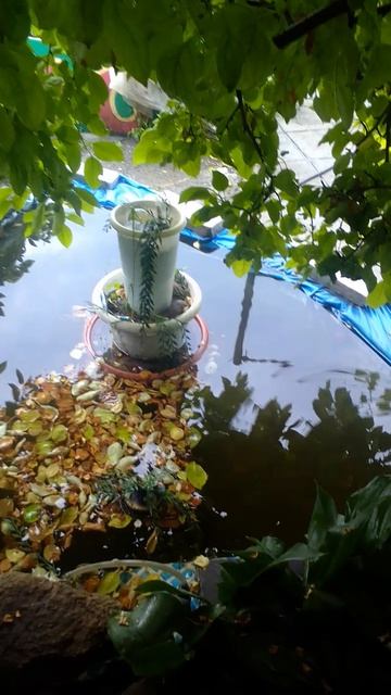 фонтанные слезки