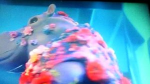 ШОУ МАСКА ОТКРЫТИЕ МАСКИ ГИППОПОТАМ  ДО РЕКЛАМЫ. (29.03.2026г)