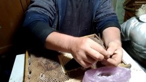 о выводе маток