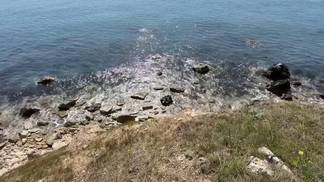 берег опукского