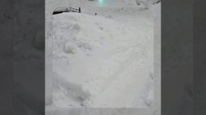 1000056966.mp4 (Собака наблюдает за устройством лестницы на 2-ой этаж в доме А-фрейм)