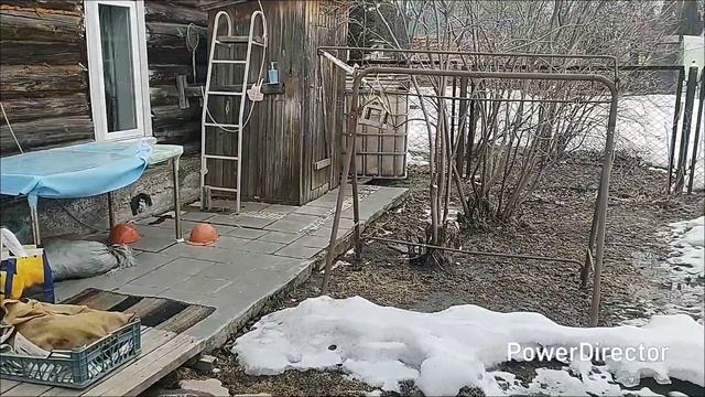 Пятница, я на даче, что сделала.