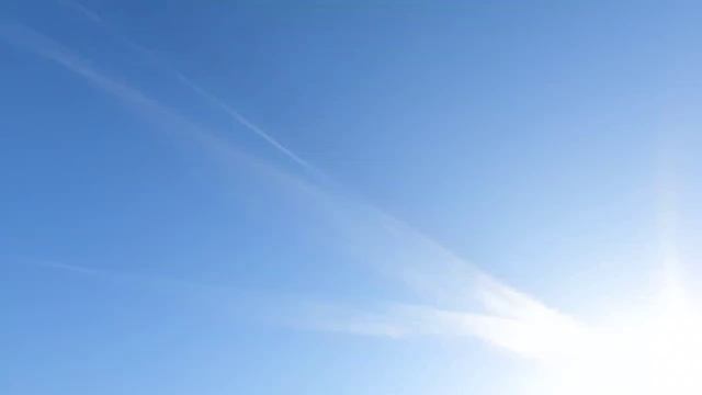 Санкт-Петербурге