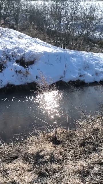 Журчит ручей