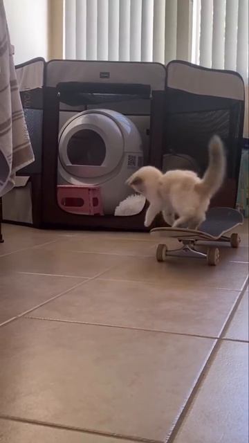 Да как же она заводится?!