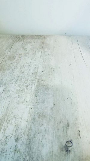 подобэ и Лили