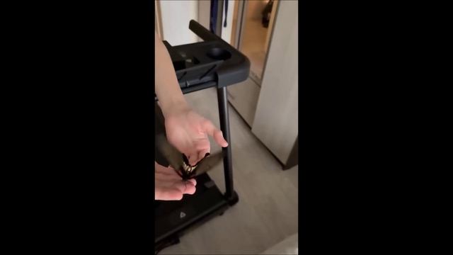 Разведение бабочек в домашних условиях. Бабочка ест с руки