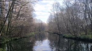 Рыбалка на реке Тавровка, мкр. Масловка, город Воронеж, 21.04.2026 года