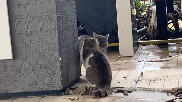 важный разговор