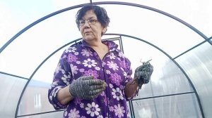 24 АПРЕЛЯ 2026 ГОДА МОЙ ВЫХОДНОЙ