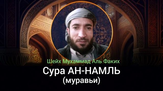 27- Сура АН-НАМЛЬ