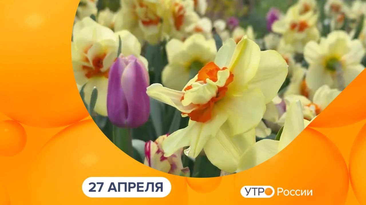 Утро России. Калуга (27.04.2026)