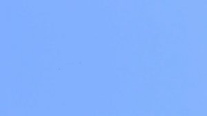 18.04.2026. Безкружные голуби, Чуманова Виталия.