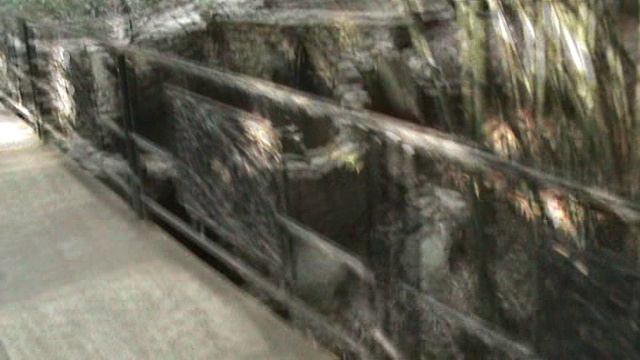 148)з ДЕНДАРИ ПАРК СОЧИ