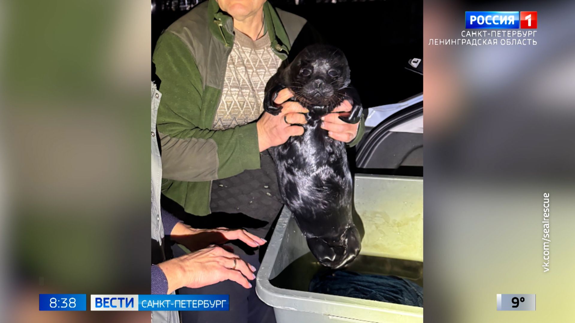 Вести Санкт-Петербург. Выпуск 08.35 от 24.04.2026