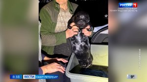 Вести Санкт-Петербург. Выпуск 08.35 от 24.04.2026