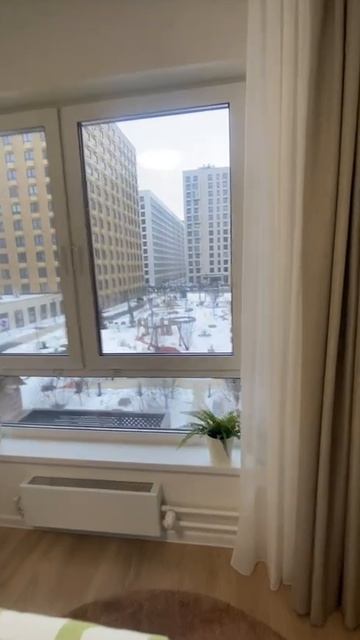 video_2026-04-24_10-29-43