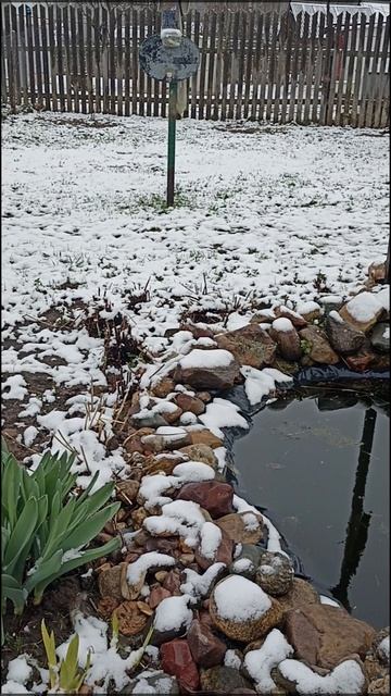 Снежное утро 24 апреля. Ивановская область.