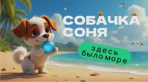 Умная собачка Соня здесь было море