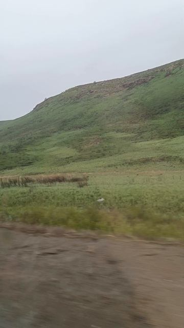 Родное Оренбуржье