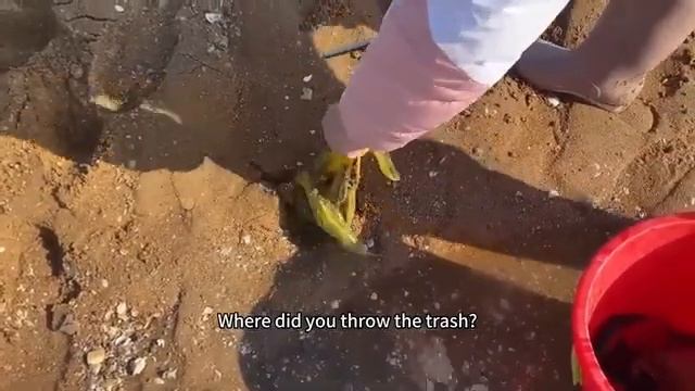 Small chapter catch the sea stones turned a pile of pearls into mountains [get.gt]