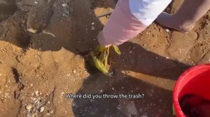 Small chapter catch the sea stones turned a pile of pearls into mountains [get.gt]