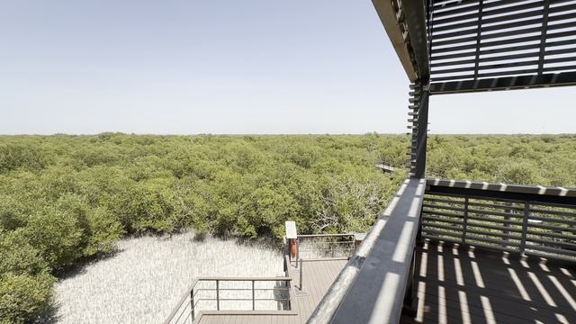 Мангровый парк в Абу-Даби