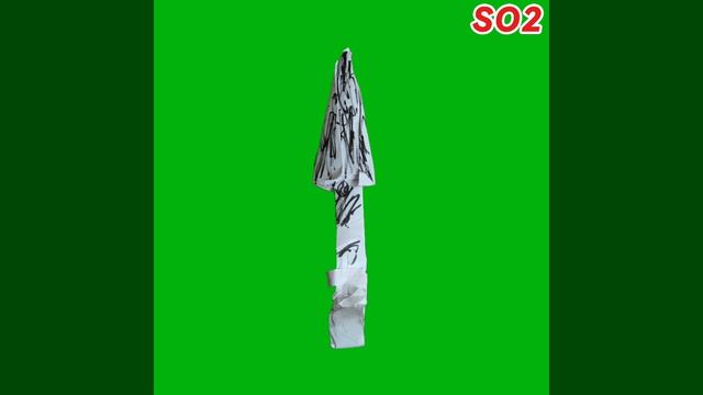 SO2?