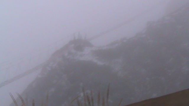 195)й РОЗА ХУТОР