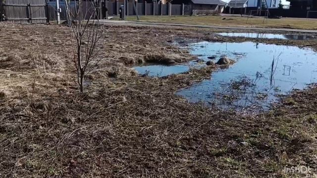 Приятная прогулка по поселку