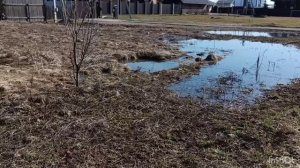 Приятная прогулка по поселку