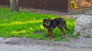 ЯНВАРЬ ФЕВРАЛЬ МАРТ АПРЕЛЬ 2026 ГОДА УЛИЦИ ДОНЕЦКА