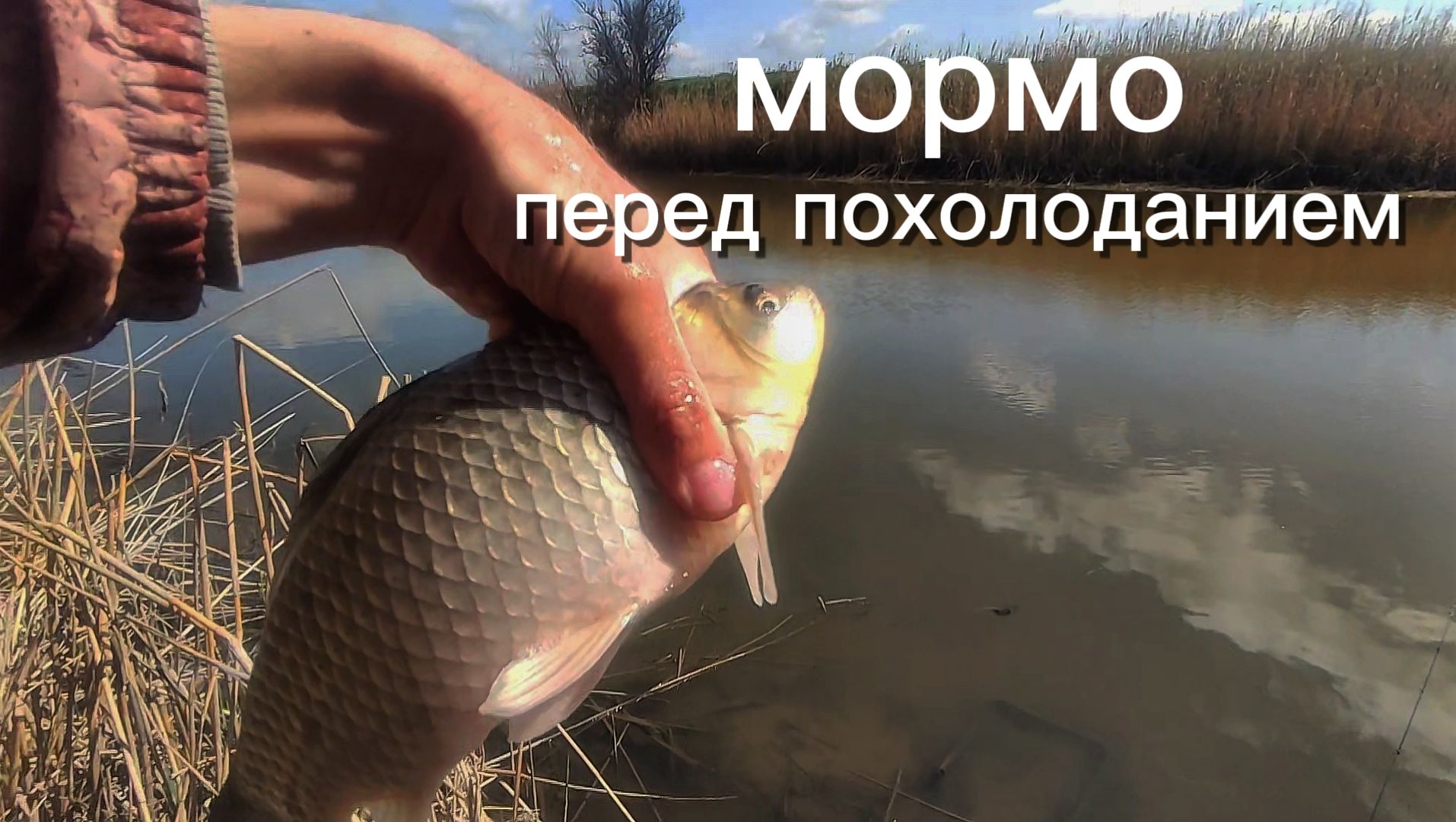 Мормышинг перед сильным похолоданием