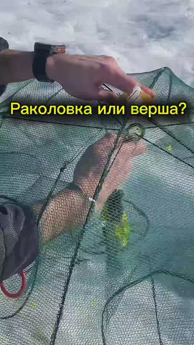 Верша или раколовка - кто победит?