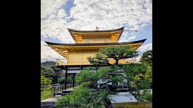 99.Золотая фотогалерея.