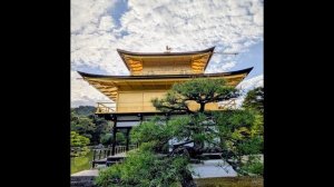 99.Золотая фотогалерея.